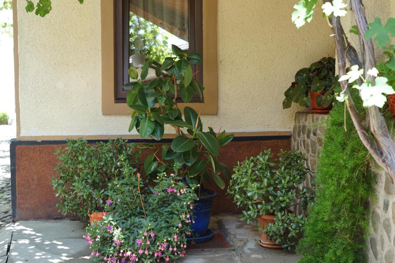 Casa Ciortea Ana ซิบิเอล ภายนอก รูปภาพ
