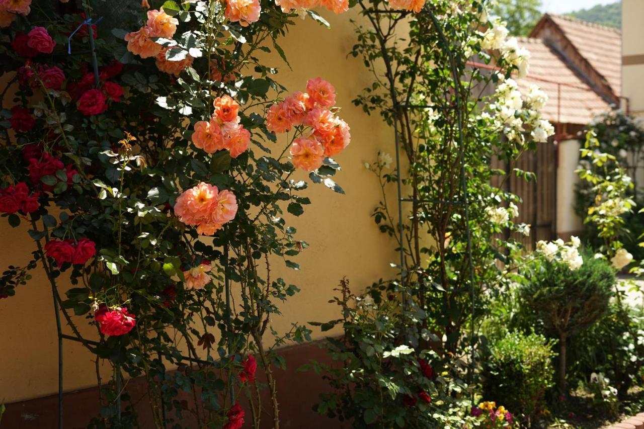 Casa Ciortea Ana ซิบิเอล ภายนอก รูปภาพ