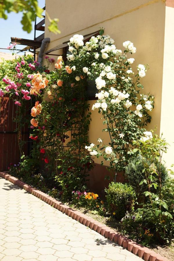 Casa Ciortea Ana ซิบิเอล ภายนอก รูปภาพ
